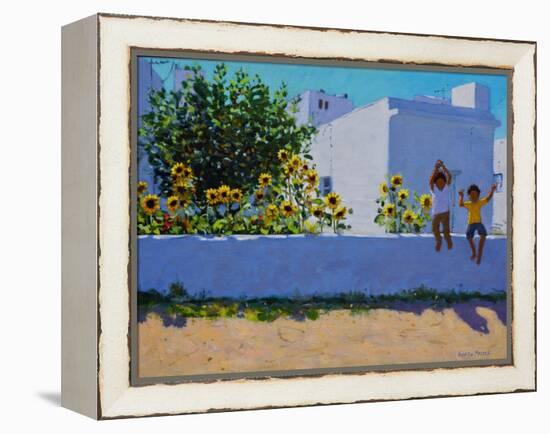 Sunflowers,morning,Galicia,-Andrew Macara-Framed Premier Image Canvas