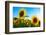 Sunflowers, Near Chalabre, Aude, France, Europe-James Strachan-Framed Photographic Print