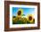 Sunflowers, Near Chalabre, Aude, France, Europe-James Strachan-Framed Photographic Print