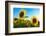 Sunflowers, Near Chalabre, Aude, France, Europe-James Strachan-Framed Photographic Print