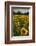 Sunflowers, Near Chalabre, Aude, France, Europe-James Strachan-Framed Photographic Print