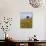 Sunflowers, Near Ronda, Andalucia, Spain, Europe-Mark Banks-Photographic Print displayed on a wall