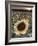 Sunflowers, Norfolk, England, Uk-Alan Copson-Framed Photographic Print