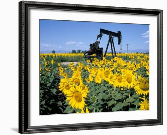 Sunflowers, Oil Derrick, Colorado, USA-Terry Eggers-Framed Photographic Print