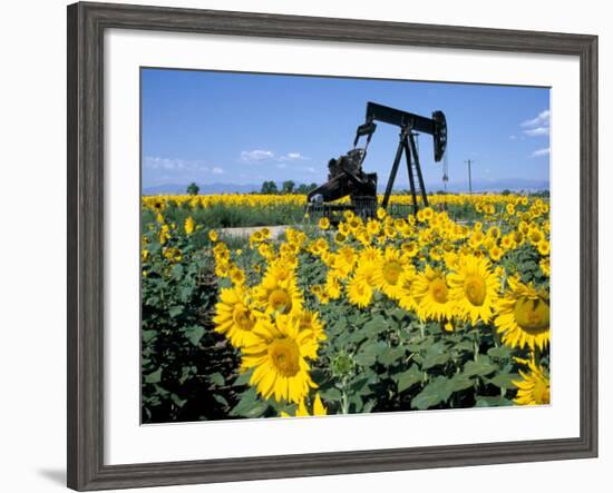 Sunflowers, Oil Derrick, Colorado, USA-Terry Eggers-Framed Photographic Print