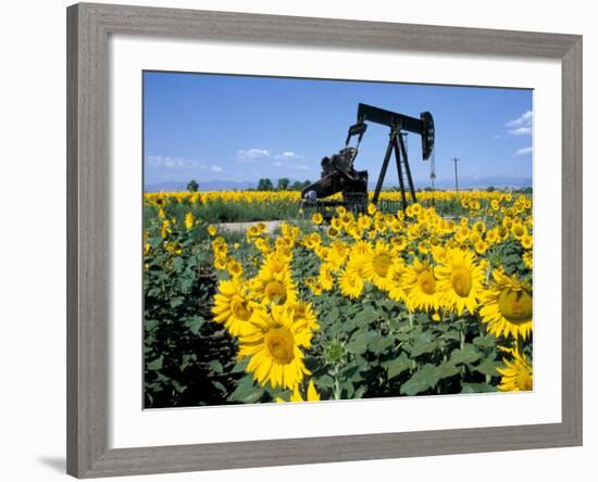 Sunflowers, Oil Derrick, Colorado, USA-Terry Eggers-Framed Photographic Print