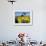 Sunflowers, Oil Derrick, Colorado, USA-Terry Eggers-Framed Photographic Print displayed on a wall