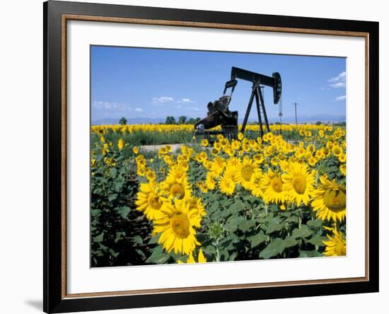 Sunflowers, Oil Derrick, Colorado, USA-Terry Eggers-Framed Photographic Print