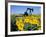 Sunflowers, Oil Derrick, Colorado, USA-Terry Eggers-Framed Photographic Print
