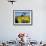 Sunflowers, Oil Derrick, Colorado, USA-Terry Eggers-Framed Photographic Print displayed on a wall