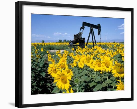 Sunflowers, Oil Derrick, Colorado, USA-Terry Eggers-Framed Photographic Print