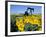 Sunflowers, Oil Derrick, Colorado, USA-Terry Eggers-Framed Photographic Print