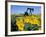 Sunflowers, Oil Derrick, Colorado, USA-Terry Eggers-Framed Photographic Print