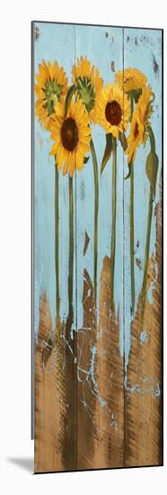 Sunflowers on Wood II-Sandra Iafrate-Mounted Art Print