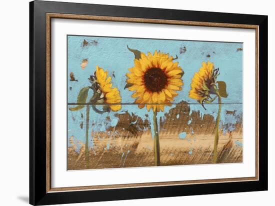 Sunflowers on Wood IV-Sandra Iafrate-Framed Art Print