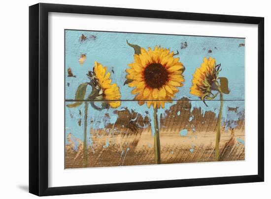 Sunflowers on Wood IV-Sandra Iafrate-Framed Art Print