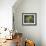 Sunflowers & Shawl Still Life-null-Framed Art Print displayed on a wall