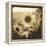 Sunflowers, Spain-Theo Westenberger-Framed Premier Image Canvas