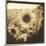 Sunflowers, Spain-Theo Westenberger-Mounted Photographic Print