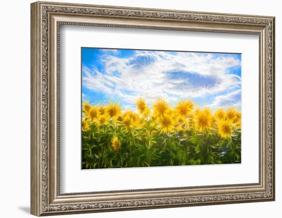 Sunflowers Standing at Attention-Philippe Sainte-Laudy-Framed Photographic Print