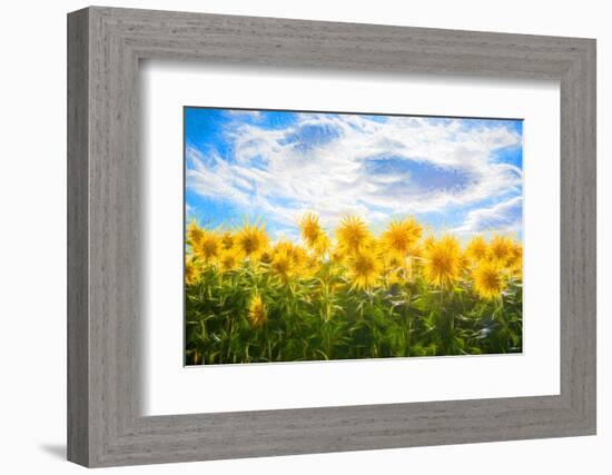 Sunflowers Standing at Attention-Philippe Sainte-Laudy-Framed Photographic Print