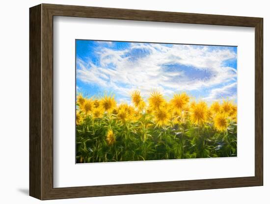 Sunflowers Standing at Attention-Philippe Sainte-Laudy-Framed Photographic Print