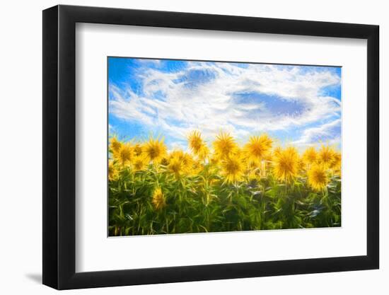 Sunflowers Standing at Attention-Philippe Sainte-Laudy-Framed Photographic Print