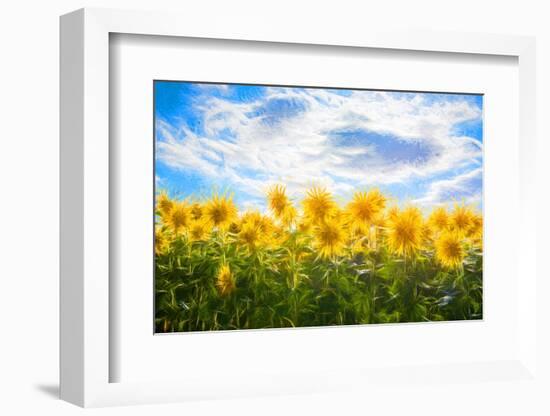 Sunflowers Standing at Attention-Philippe Sainte-Laudy-Framed Photographic Print