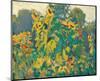 Sunflowers, Thornhill-J^ E^ H^ MacDonald-Mounted Premium Giclee Print
