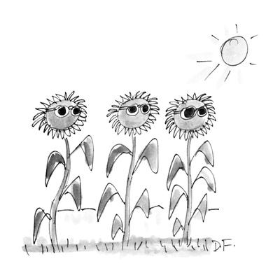 sunglasses new yorker