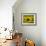 Sunflowers with Vines in Distance, Charente, France, Europe-Groenendijk Peter-Framed Photographic Print displayed on a wall