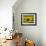 Sunflowers with Vines in Distance, Charente, France, Europe-Groenendijk Peter-Framed Photographic Print displayed on a wall