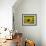 Sunflowers with Vines in Distance, Charente, France, Europe-Groenendijk Peter-Framed Photographic Print displayed on a wall