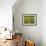 Sunflowers with Vines in Distance, Charente, France, Europe-Groenendijk Peter-Framed Photographic Print displayed on a wall