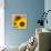 Sunflowers-DLILLC-Framed Premier Image Canvas displayed on a wall