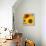 Sunflowers-DLILLC-Framed Premier Image Canvas displayed on a wall