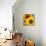 Sunflowers-DLILLC-Framed Premier Image Canvas displayed on a wall