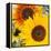 Sunflowers-DLILLC-Framed Premier Image Canvas