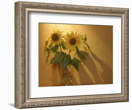 Sunflowers-Anna Miller-Framed Photographic Print