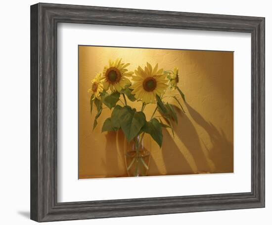 Sunflowers-Anna Miller-Framed Photographic Print