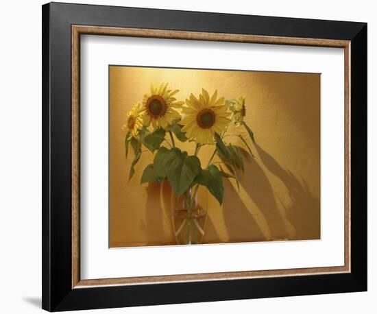 Sunflowers-Anna Miller-Framed Photographic Print