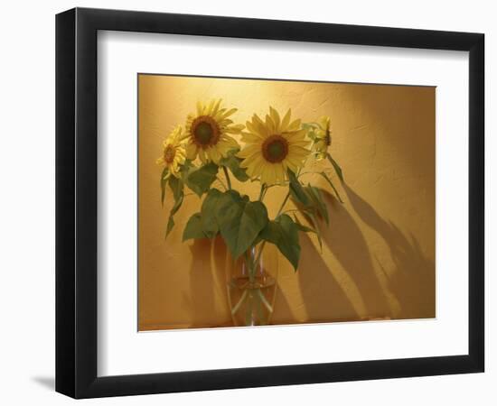 Sunflowers-Anna Miller-Framed Photographic Print