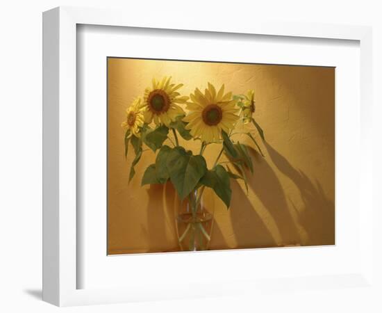 Sunflowers-Anna Miller-Framed Photographic Print