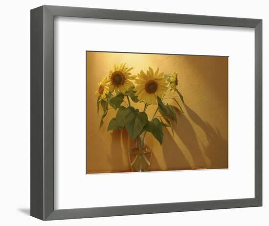 Sunflowers-Anna Miller-Framed Photographic Print