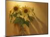 Sunflowers-Anna Miller-Mounted Photographic Print