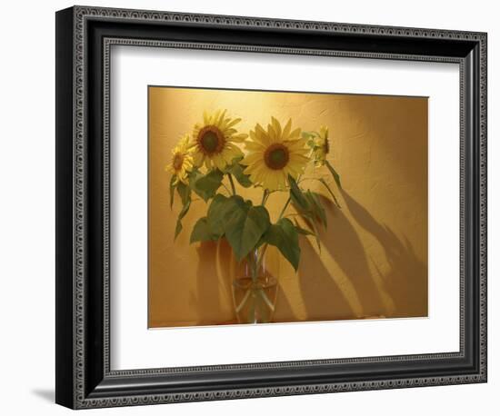 Sunflowers-Anna Miller-Framed Photographic Print