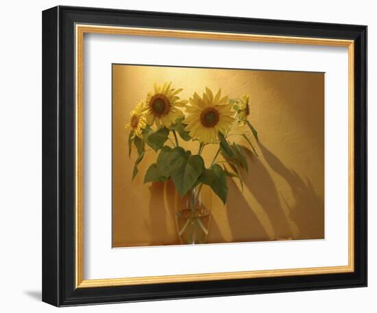 Sunflowers-Anna Miller-Framed Photographic Print