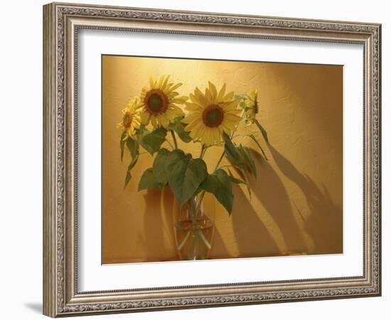 Sunflowers-Anna Miller-Framed Photographic Print