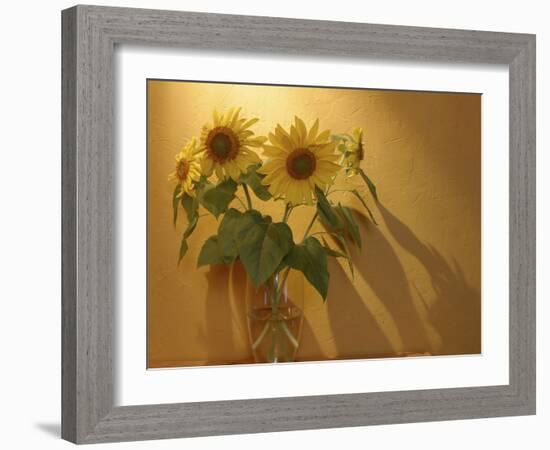 Sunflowers-Anna Miller-Framed Photographic Print