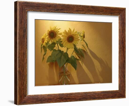 Sunflowers-Anna Miller-Framed Photographic Print